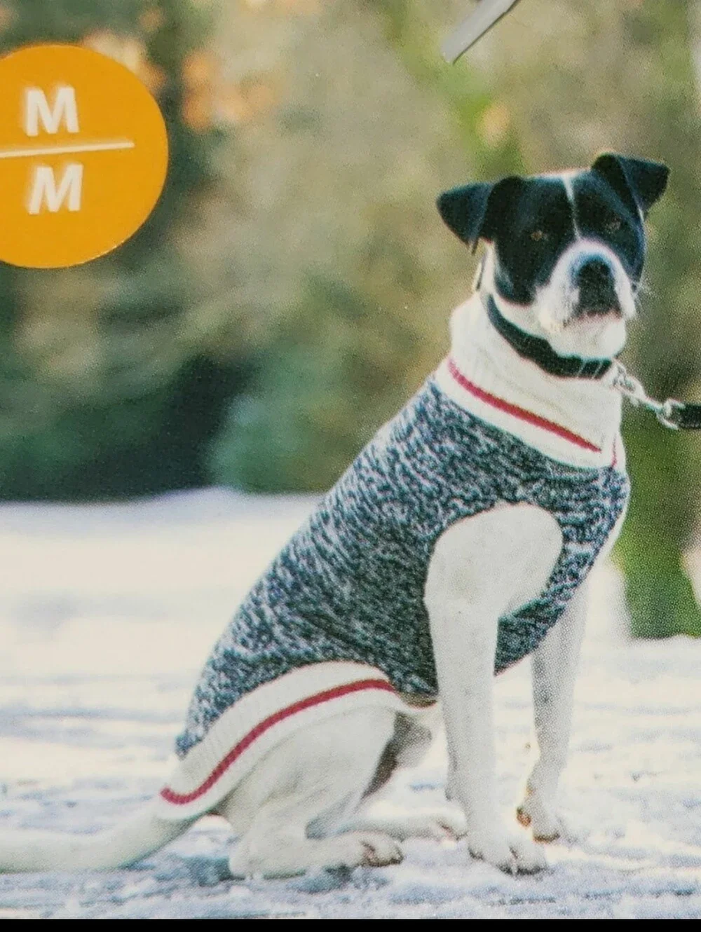 Dog Cabin Sweater
